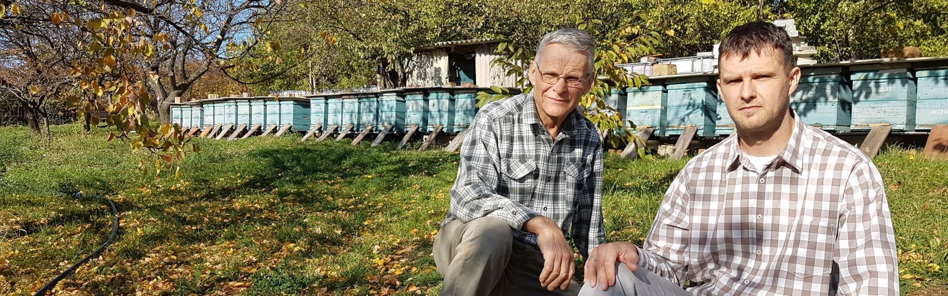 méhészet, méhészet Pécs, méhész, méhész Pécs, méz, méz Pécs, méz termelés, méz termelés Pécs